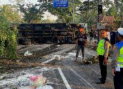 Alami Rem Blong, Truk Tronton Pengangkut 25 Ton Beras Kecelakaan Tunggal di JLS Salatiga