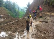 Tertimbun Saat Kerja Perkebunan, 2 Korban Longsor Pemalang Belum Ditemukan, Pencarian Lanjut Hari Ini