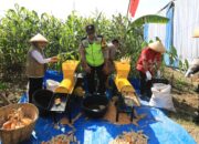 Dorong Produktivitas Ketahanan Pangan 2026, Polres Semarang Siapkan Benih Jagung Unggul Serasi-38