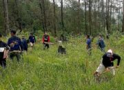 Rehabilitasi Vegetasi Imbas Kebakaran Merbabu, “1001 Pendaki Tanam Pohon” Kembali Digelar di Sokowolu