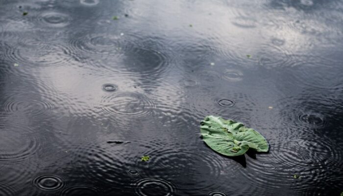 Potensi Cuaca Ekstrem Meningkat, BMKG Rilis Prakiraan Cuaca Jum’at, 2 Januari 2026