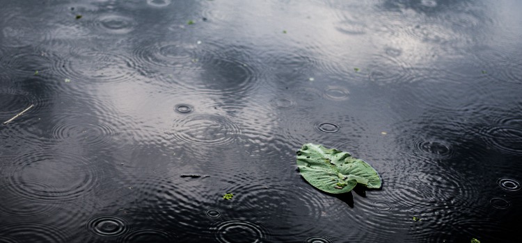 Ilustrasi gambar genangan air pasca turun hujan