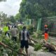 angin puting beliung salatiga