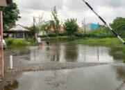 18 Tahun Dihantui Banjir, Warga Taman Marina Semarang Masih Menanti Solusi Nyata