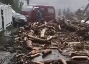 Viral Gelondongan Kayu di Pemalang dan Tegal Usai Banjir Bandang, BPDB Jateng Belum Tahu Asalnya