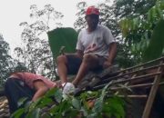 Brak! Pohon Timpa Rumah Warga Jatirunggo Semarang Hingga Rusak, Disebabkan Angin Kencang 