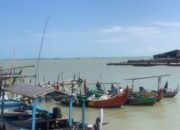 Laut Tak Lagi Ramah, Nelayan Semarang Lebih Banyak Angkut Sampah dan Beralih Kerja Darat