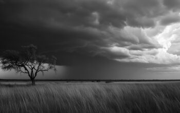 Gambar ilustrasi hujan lebat