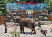 Kabar Gembira! Tiket Masuk Semarang Zoo Gratis untuk Pelajar, Berlaku Mulai 22 Juni 2026