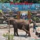 Semarang Zoo Resmi Target 60 Ribu Pengunjung, Semarang Zoo Hadirkan Animal Show dan Penting Zoo