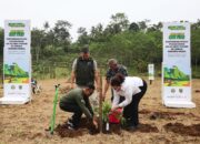 60.321 Bibit Pohon Ditanam di Lereng Muria, Djarum Foundation Perkuat Ekosistem dan Konservasi