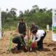 60.321 Bibit Pohon Ditanam di Lereng Muria, Djarum Foundation Perkuat Ekosistem dan Konservasi
