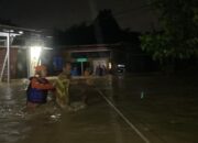 Pemkot Semarang Gercep Tangani Banjir di Rowosari dan Meteseh Tembalang