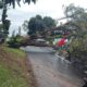 Hujan Deras dan Angin Kencang Terjang Semarang, 53 Pohon Tumbang, Satu Warga Meninggal Dunia