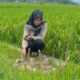 Kucing Blora