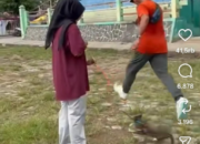 Update Kasus Video Viral Dugaan Kekerasan Kucing di Blora, Polisi Gandeng Ahli ITE