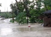 Hujan Deras Dini Hari, Banjir Grobogan Rendam 14 Desa di 8 Kecamatan