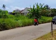 Trotoar Depan SMKN 1 Bawen “Hilang” Tertimbun Semak, Pejalan Kaki Terpaksa Lewat Badan Jalan