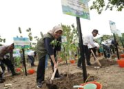 Kolaborasi Lintas Sektor, PEPC ADK Tanam 14.727 Pohon untuk Kurangi Emisi Karbon di Rembang