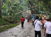Pohon Tumbang, Akses Jalan dan Jaringan PLN Terdampak di Kalirejo Semarang