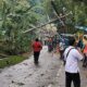 Proses penanganan tiang listrik terdampak pohon tumbang di lingkungan Kalirejo, Ungaran Timur, Rabu, 18 Februari 2026. (Bowo Pribadi/beritajateng.tv)