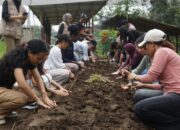 Seru dan Unik! Mahasiswa Internasional UKSW Belajar Wirausaha Olahan Singkong di Salatiga