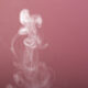 Whip Pink