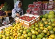 Alternatif Perjalanan Arus Balik, Kopeng Semarang Ramai Disinggahi Pemudik: Wisata dan Oleh-oleh