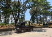 Usai Badai Angin di Alas Roban, Jalur Nasional Batang-Semarang Kini Siap untuk Arus Mudik