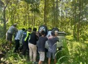 Kecelakaan Tunggal di Blora Gegerkan Warga, Toyota Avanza Terperosok dan Terbalik ke Hutan