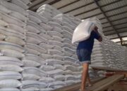Perkuat Keamanan Pangan Nasional, Pemerintah Amankan 5,17 Juta Ton Stok Beras Bulog