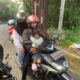 mudik