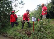 Sumanto Singgung Mitos Genderuwo, Pohon Besar Dijaga demi Kelangsungan Sumber Air Desa