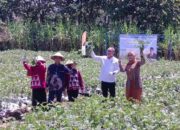 Panen Raya Edamame, Menko Pangan Zulhas Apresiasi Hasil Budidaya Siswa SMKN 1 Bawen