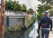 Populasi Ikan Sapu-sapu di Sungai Semarang Ancam Ekosistem, Warga Minta Penanganan Serius