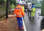 Truk Bermuatan Triplek Terguling di Tanjakan Silayur, Diduga Overload 16,7 Ton