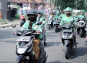 5 Tips Aman Berkendara untuk Perempuan Aktif, Tetap Fokus di Jalan
