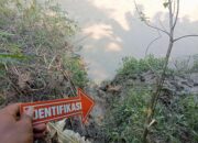 Dilaporkan Hilang di Sungai Wulung, Nenek 74 Tahun di Blora Ditemukan Tewas Tenggelam