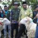PADI Jawa Tengah