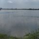 Sawah Demak Banjir