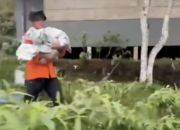 Penyebab Bayi Diduga Hipotermia di Gunung Ungaran Jadi Sorotan, Gegara Cekcok Orang Tua?
