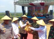 Panen Raya Jagung di Blora, Bulog Siap Serap Hasil Petani hingga Dukung Bioetanol