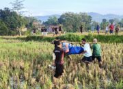 Petani di Blora Ditemukan Tewas di Sawah, Diduga Tersungkur Akibat Vertigo Kambuh