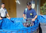 Panen Raya Lele Hasil Budidaya Warga Binaan Rutan Salatiga
