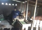 Jelang Idul Adha, Pemkab Blora Genjot Vaksinasi Penyakit Mulut dan Kuku