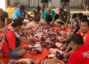 Jangan Dicuci! Begini Cara Simpan Daging Kurban di Freezer agar Tetap Segar