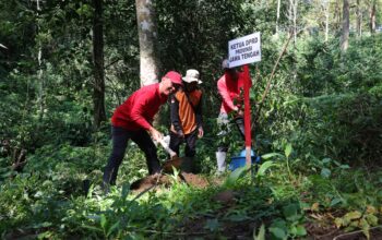 Gerakkan Aksi Tanam Pohon, Sumanto Raih Penghargaan Inisiator Merawat Pertiwi