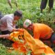 Nenek 70 Tahun Tewas Terseret Arus Tanggul Jebol Sungai Plumbon