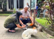 Bantah Isu Buang Kucing di Lawang Sewu, KAI Wisata Siapkan Kolaborasi dengan Cat Lovers