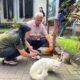 Bantah Isu Buang Kucing di Lawang Sewu, KAI Wisata Siapkan Kolaborasi dengan Cat Lovers